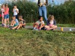 Miniatuur