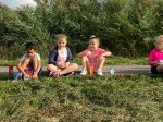 Miniatuur